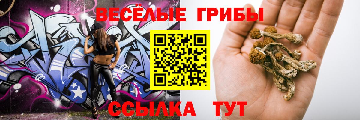 как найти закладки  Галлюциногенные грибы Psilocybe  Вход с VPN  Карачаевск 